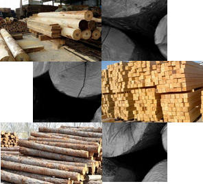 百年品質(zhì)傳承，源于每一環(huán)節(jié)的考究